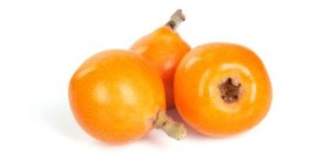 loquats