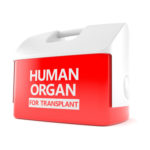 Cooler for human organ