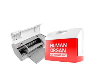 2d 3d organ printing