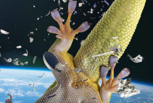 Gecko Grippers
