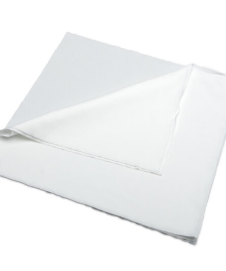 CPSVP121214 Cleanroom Wipes