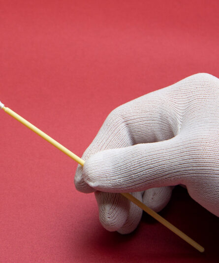 Berkshire Long Handled Cleanroom Swabs LTP1465