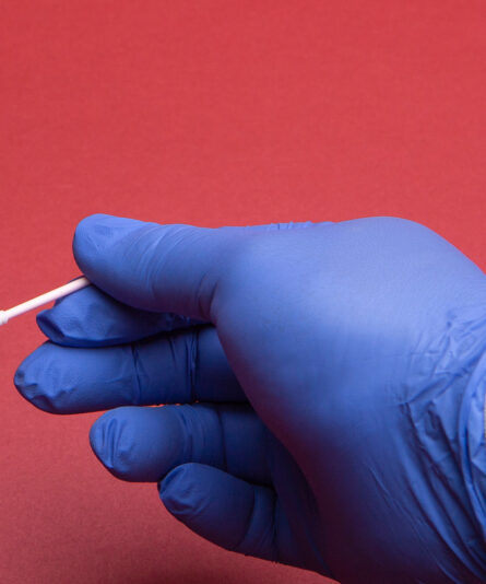 Cleanroom Swab polyurethane foam over rigid tip