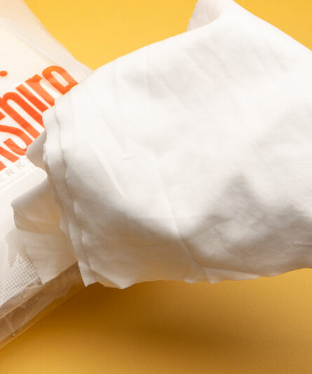 VSHA121214P Cleanroom Wipes Application