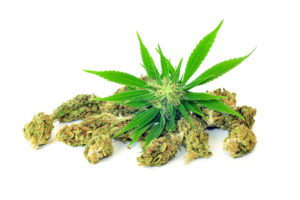 canadian cannabis act