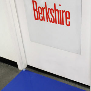 cleanroom mats