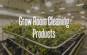 Grow Room Cleaning Berkshire